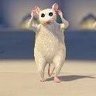 rato cego do Shrek gravando tiktok pra sobreviver's profile picture