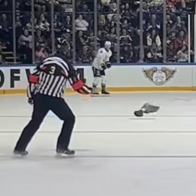 Behind The Net's profile picture