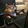 Profilbild von nAsH092