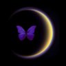 Somaa's profile picture