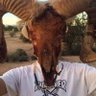 bas09 theimog's profile picture