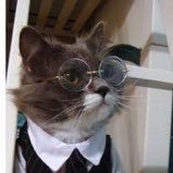 sei la das ideia's profile picture