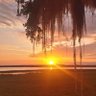 🌴🌞🇺🇸 Florida Mama🇺🇸🌞🌴 profil fotoğrafı