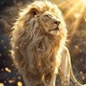 Profilbild von PJMDP