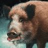 Max's profile picture