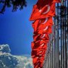 Profilbild von 🇹🇷 REİS BEYLİ