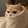 ˖ ࣪ ⭑ · Pr.d ☆ ˖ ࣪ ⭑ 的头像