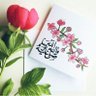 Nosyba aljilani profil fotoğrafı