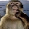 Profilbild von Gabriel