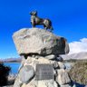 Stone.lay profil fotoğrafı