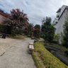 翔枝 的头像