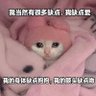 Profilbild von 炖一锅肉