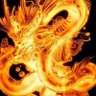 興z's profile picture
