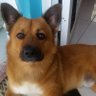 abby profil fotoğrafı