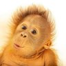 Truth Edition's profile picture