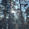 Бункер Кинг's profile picture