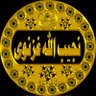 Nageeblaنجیب الله غزنوي 的头像