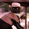 Cowboy Ale's profile picture