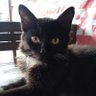 Generasi (G)emas 2045's profile picture