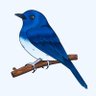 Profilbild von Bluebird