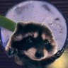 Sir Yapsalot ⚔️'s profile picture
