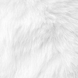 fluffy's profile picture