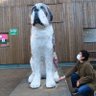 大みやび イノチェル 的头像
