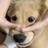 纳兰阿伽陌 profil fotoğrafı