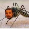 Profilbild von Ajònonno