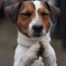 Popis's profile picture