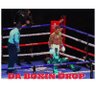 DA.DROP.on.BOXING.'s profile picture