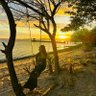 Profilbild von Dezziie🌅GOLDEN