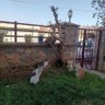 Havva Şehitoğlu profil fotoğrafı