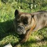 Profilbild von caro