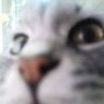 San profil fotoğrafı