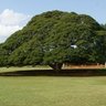 Фото профиля 井上　英樹