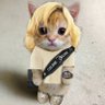 kkkanbe's profile picture