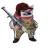 MiVi's profile picture