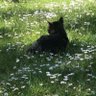beyza profil fotoğrafı