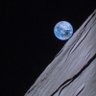 DinoXs001's profile picture