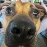 little budda's profile picture