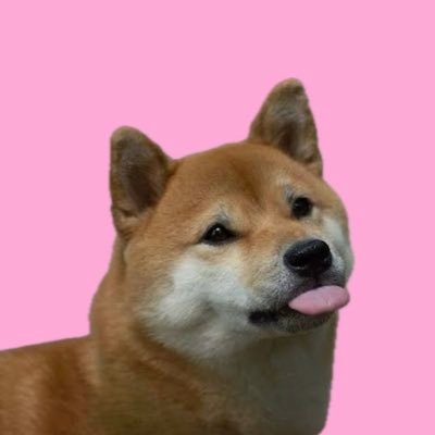 Flare Inu (FINU)'s profile picture