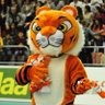 Profilbild von seytigers