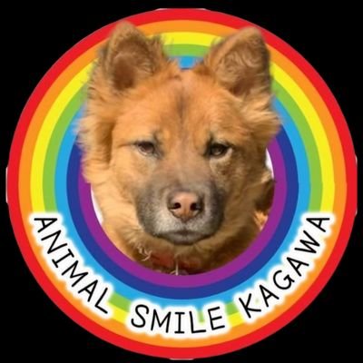 🐶NPO法人アニマルスマイル香川🐱's profile picture