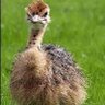 Profilbild von Me
