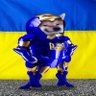 Ukraine Kyborg 🇺🇦🇩🇪🇱🇹🇱🇻🇪🇪🇬🇪🇨🇿's profile picture