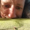 Rory Dimond 🌼🪰🌼🐝🌼🦟's profile picture