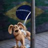 Brasileiro Descontente 🇧🇷's profile picture