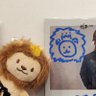 Profilbild von ️フタバーニ🦁(バニ)