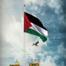 Profilbild von نور الإسلام سيضئ